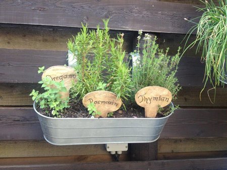 Kräuterschilder b.z.w. Pflanzenstecker im Blumenkasten - Nr.: 113 Kräuterschilder f. Garten & Balkon - NR: 113